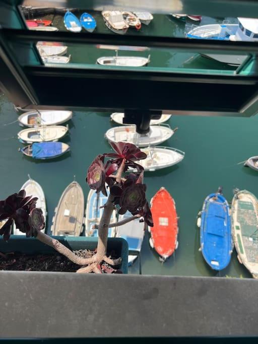 Attico Sul Porticciolo Antico Di Camogli Lägenhet Exteriör bild