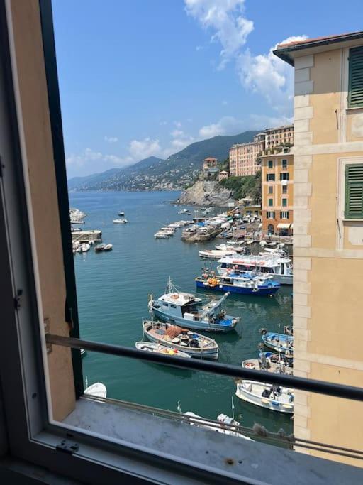 Attico Sul Porticciolo Antico Di Camogli Lägenhet Exteriör bild
